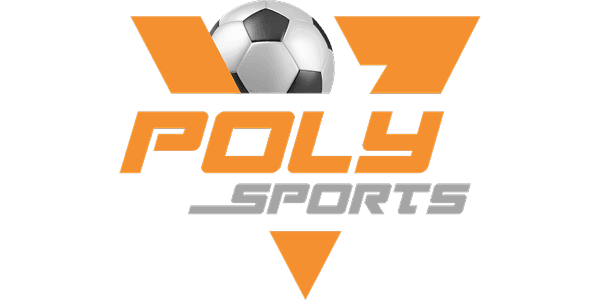 পলিকালার logo